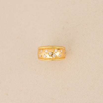 Edgard la chevalière