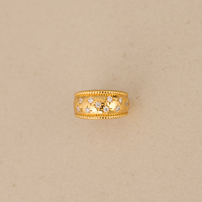 Edgard la chevalière